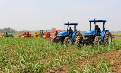Xây dựng mô hình sản xuất mía cánh đồng lớn ứng dụng công nghệ cao tại huyện Bác Ái (Ninh Thuận)